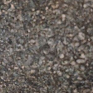 Meet your Posher, Landon